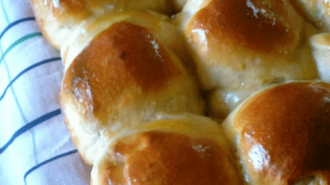 Dinner Rolls Recipe
