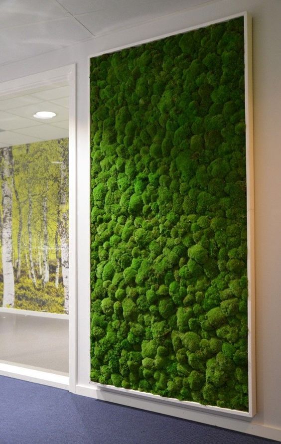 Tall Framed Moss Panel Adds Natural Texture to Walls