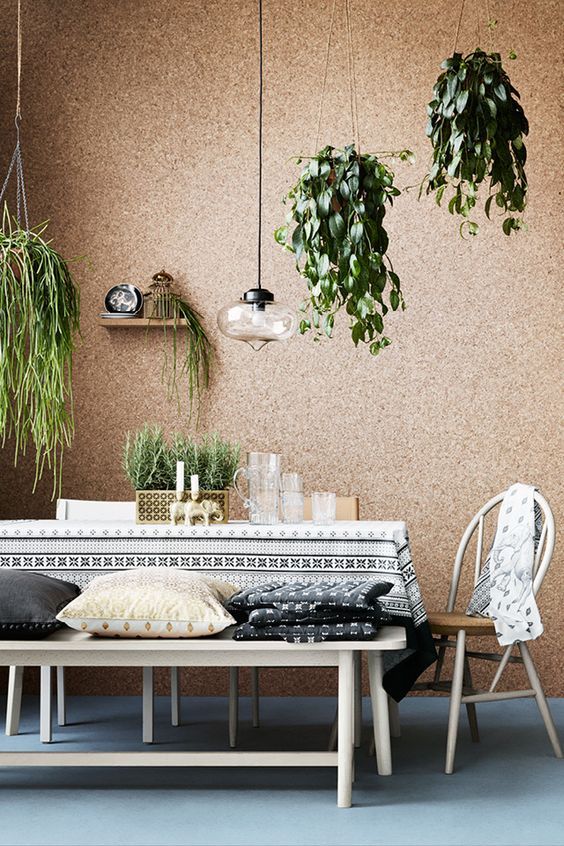 Hanging Potted Plants Soften a Cork Wall