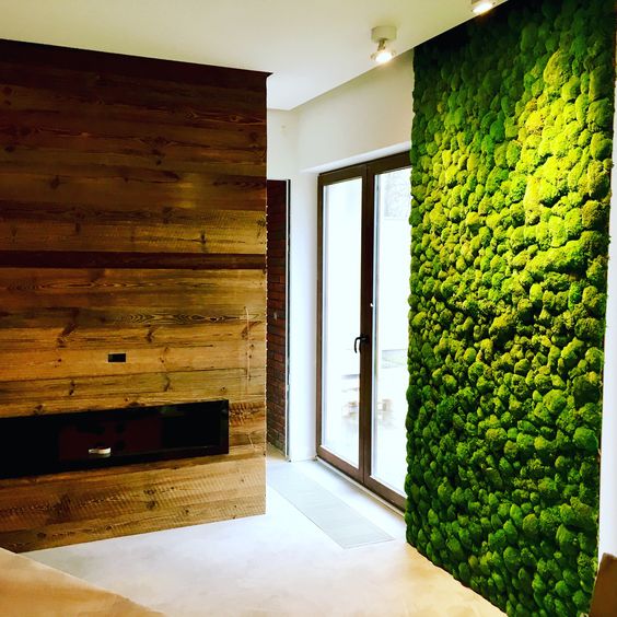 Living Moss Wall Adds Natural Texture and Color