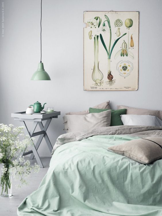 Botanical Chart Adds Vintage Science Flair Above Your Bed