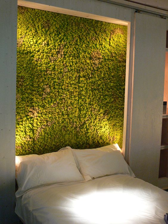 Moss Headboard Adds Natural Texture Behind Bed