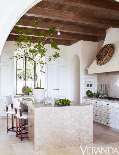 Place a Tall Tree on Your Kitchen Island for Organic Verticality