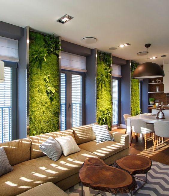 Frame Windows with Vertical Moss Panels for Living Greenery