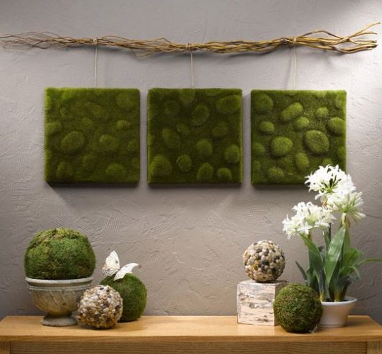 Three Square Moss Panels Add Natural Texture