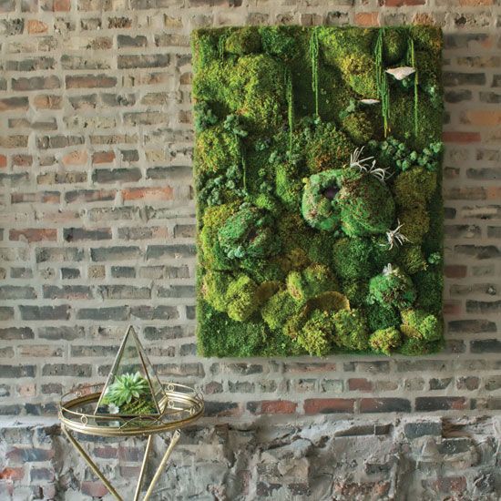 Incorporate Sculptural Elements into Textured Moss Art