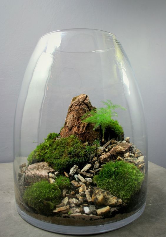Glass Terrarium Creates a Miniature Rocky Landscape