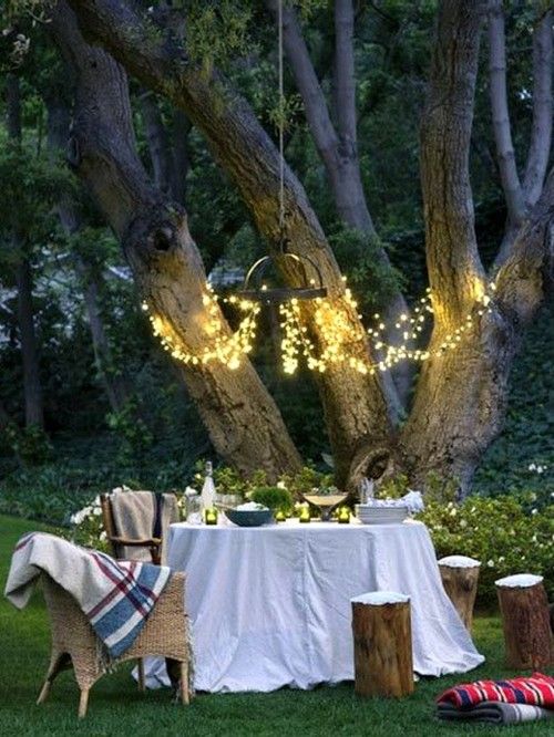 Drape Fairy Lights from Tree Branches for an Enchanting Canopy