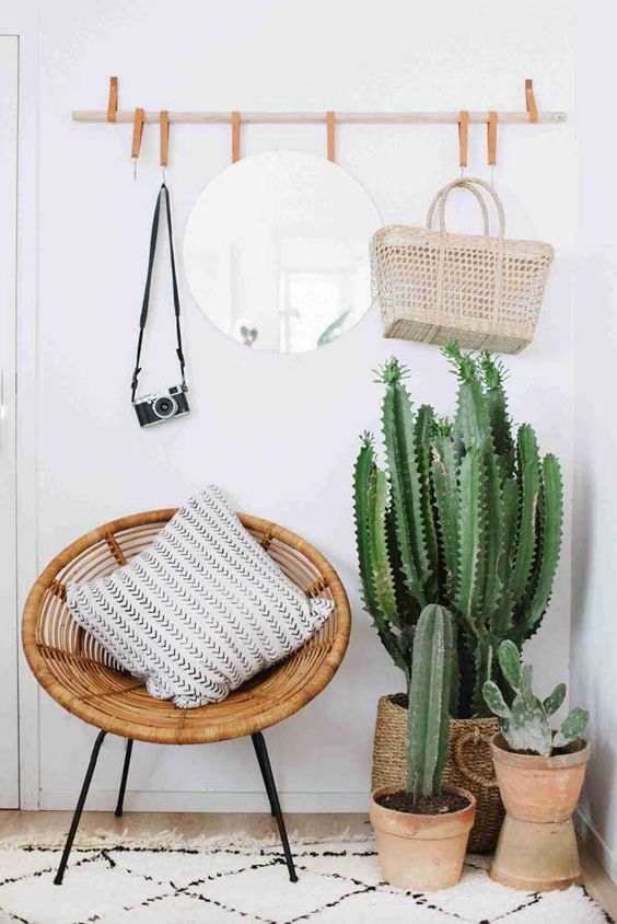 Oversized Cacti Add Vertical Greenery to Entryway Corner