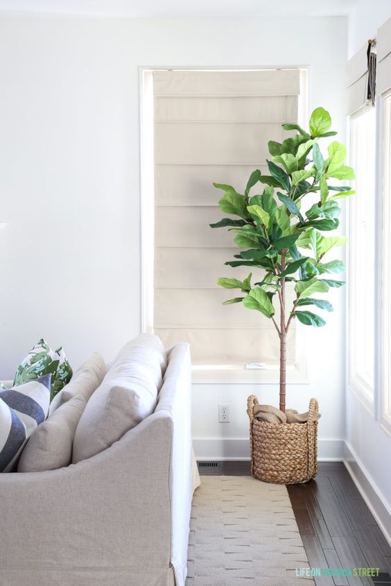 Woven Basket for Natural Texture for Tall Plants