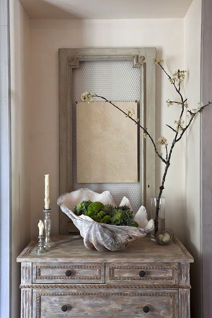 Giant Clam Shell Holds Greenery and Natural Textures