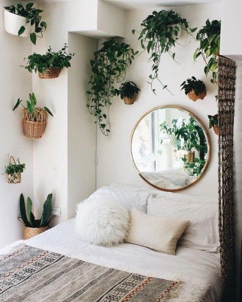 Woven Baskets Create a Tiered Plant Display on Walls