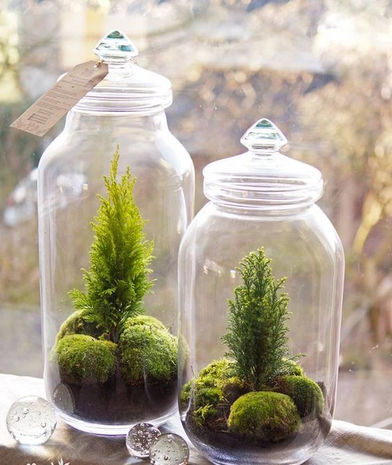 Glass Jars Create Miniature Woodland Scenes