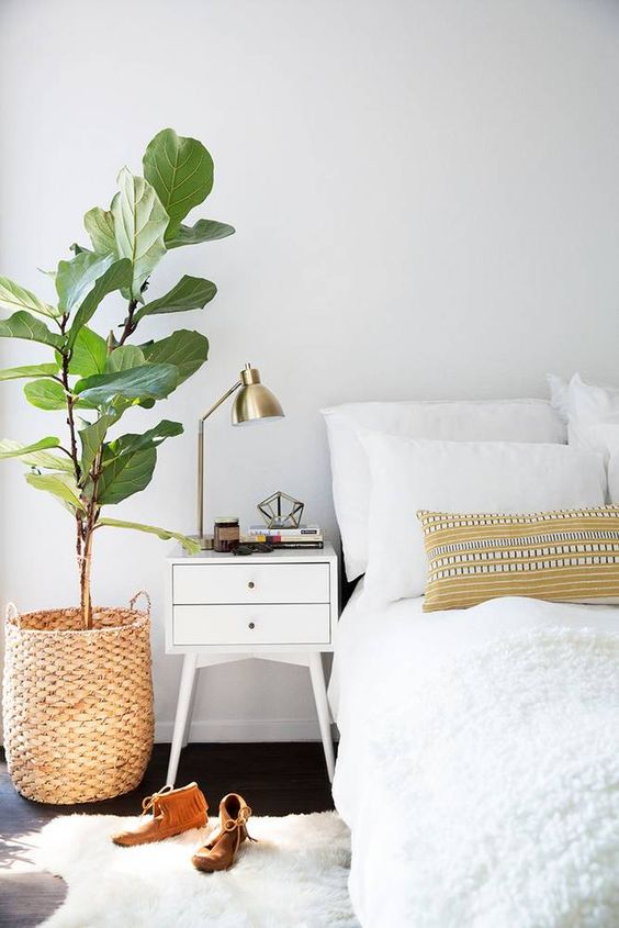 House Tall Greenery in Woven Baskets