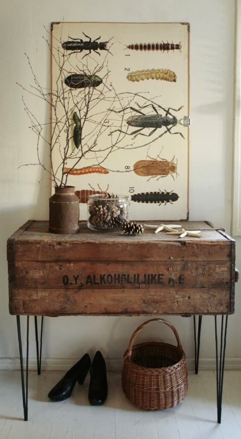 Vintage Botanical Chart Adds Educational Interest To Entryway