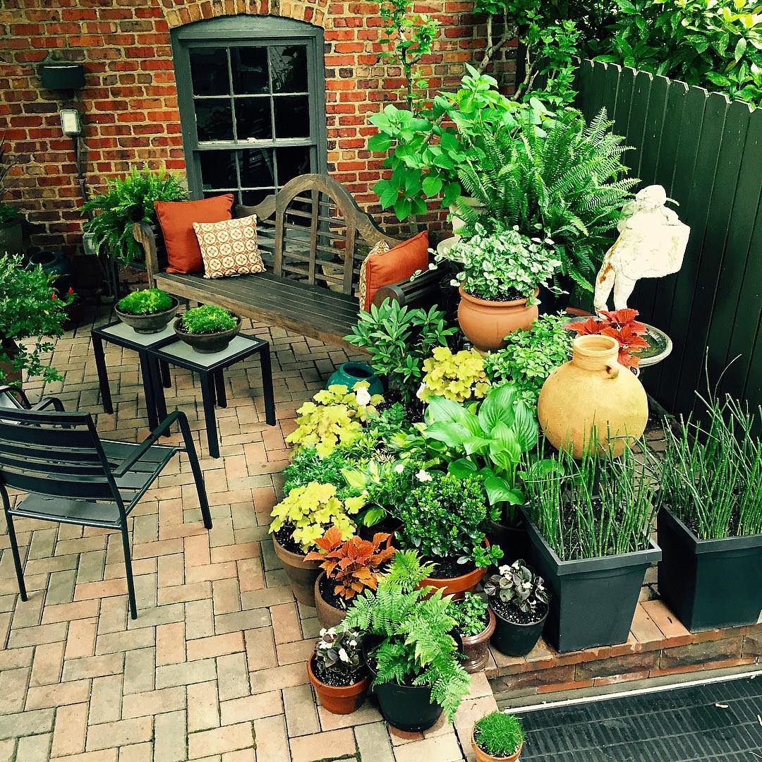 Grouped Clay and Ceramic Pots Create a Lush Patio Garden