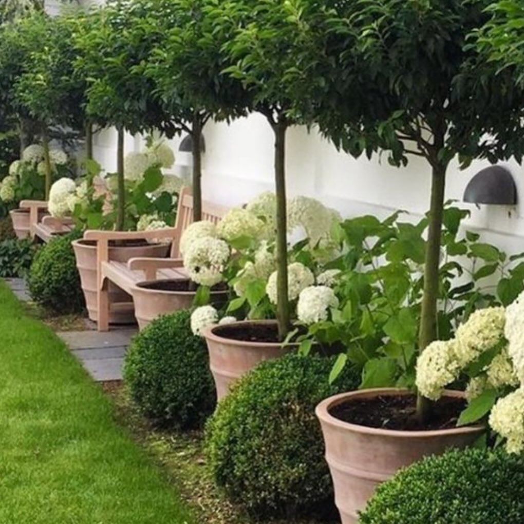 Anchor Your Garden Design with Large Terracotta Pots
