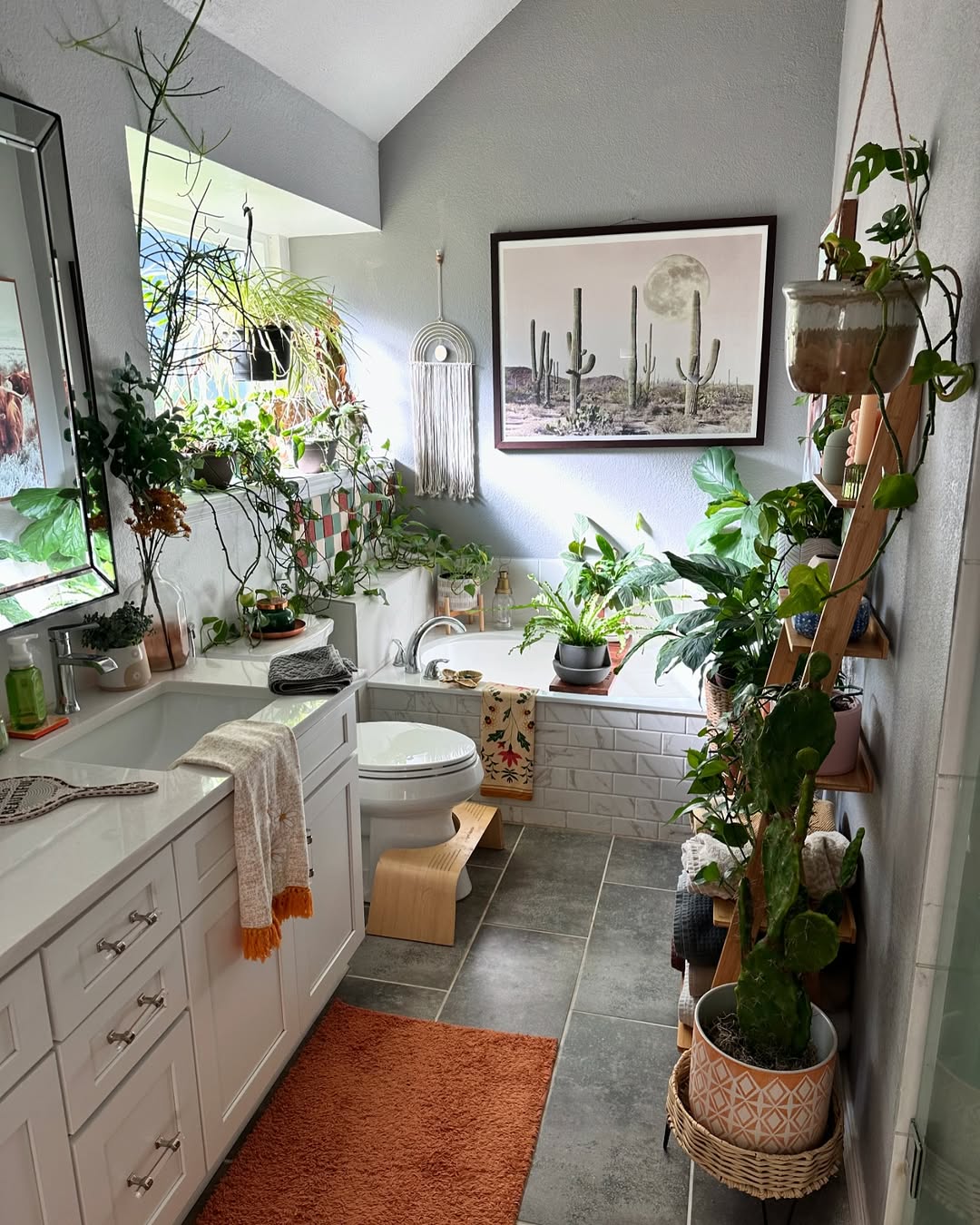 Wooden Ladder Shelf for Layered Plant Displays