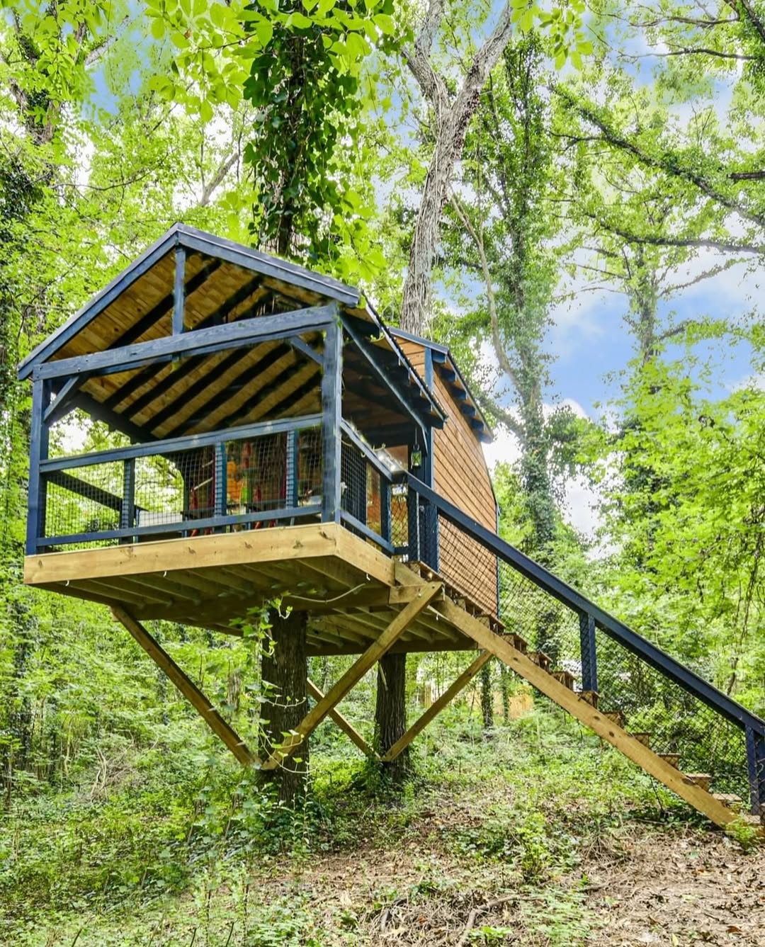 Bold Contrast with Dark Blue Railings