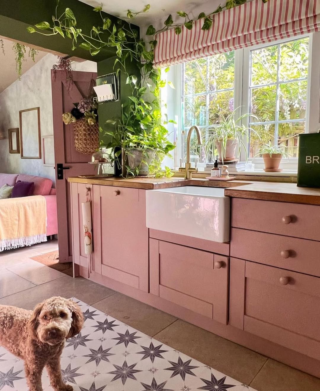 Trailing Greenery Adds Life To Kitchen Corners and Ceilings