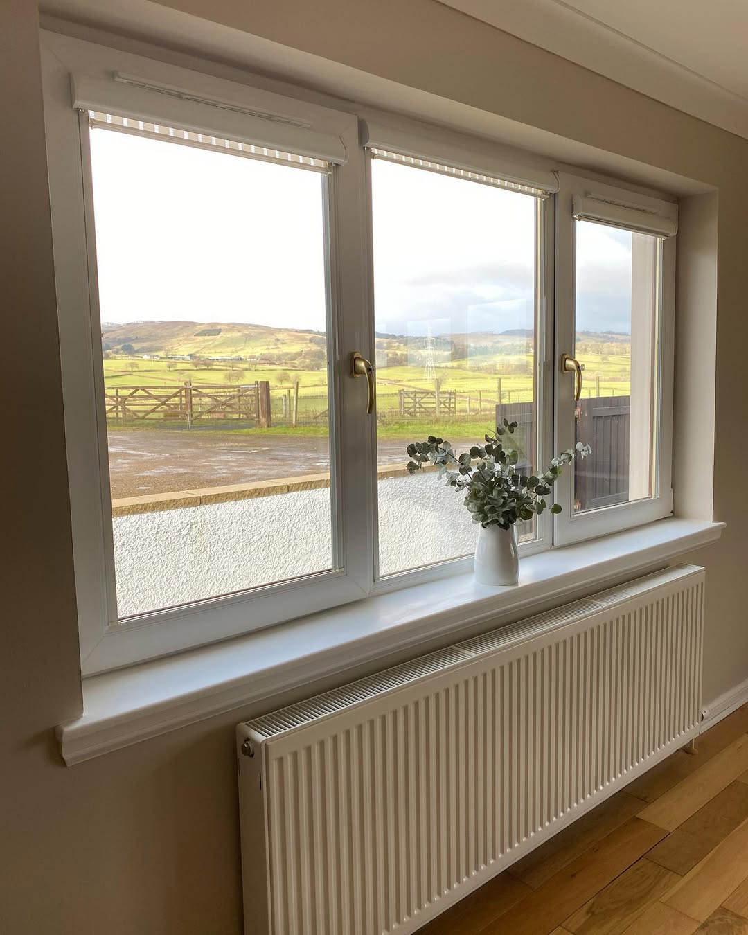 Eucalyptus in a White Vase Softens the Window Ledge