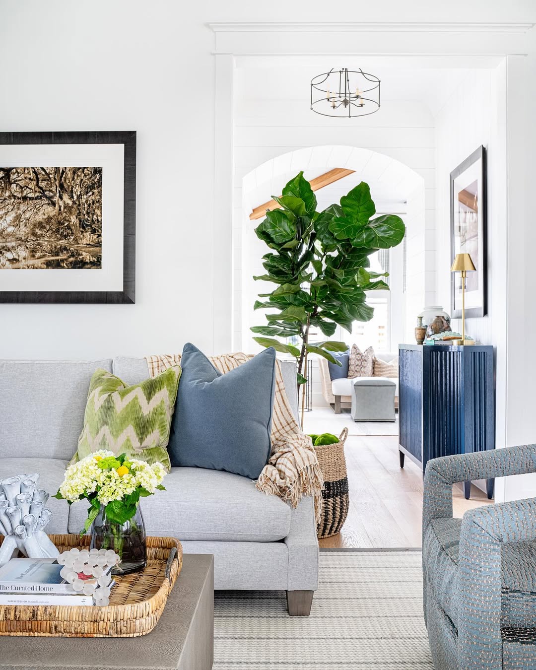 Anchor Your Entryway with a Fiddle Leaf Fig Tree