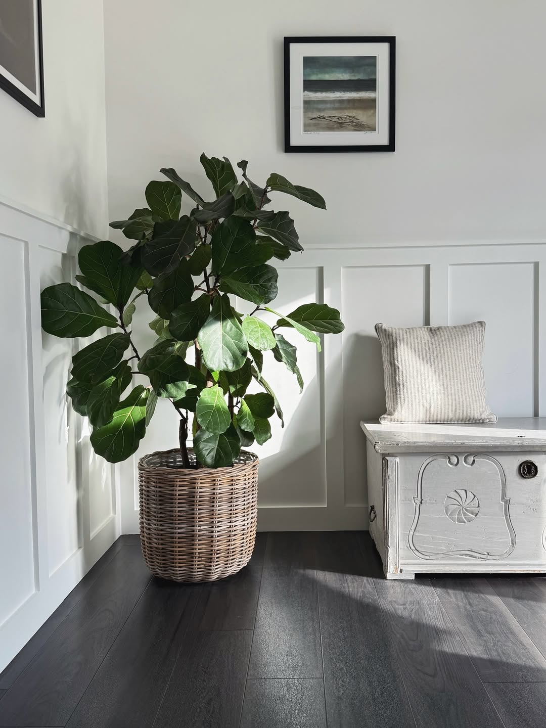Woven Baskets Add Natural Texture to Large Plants