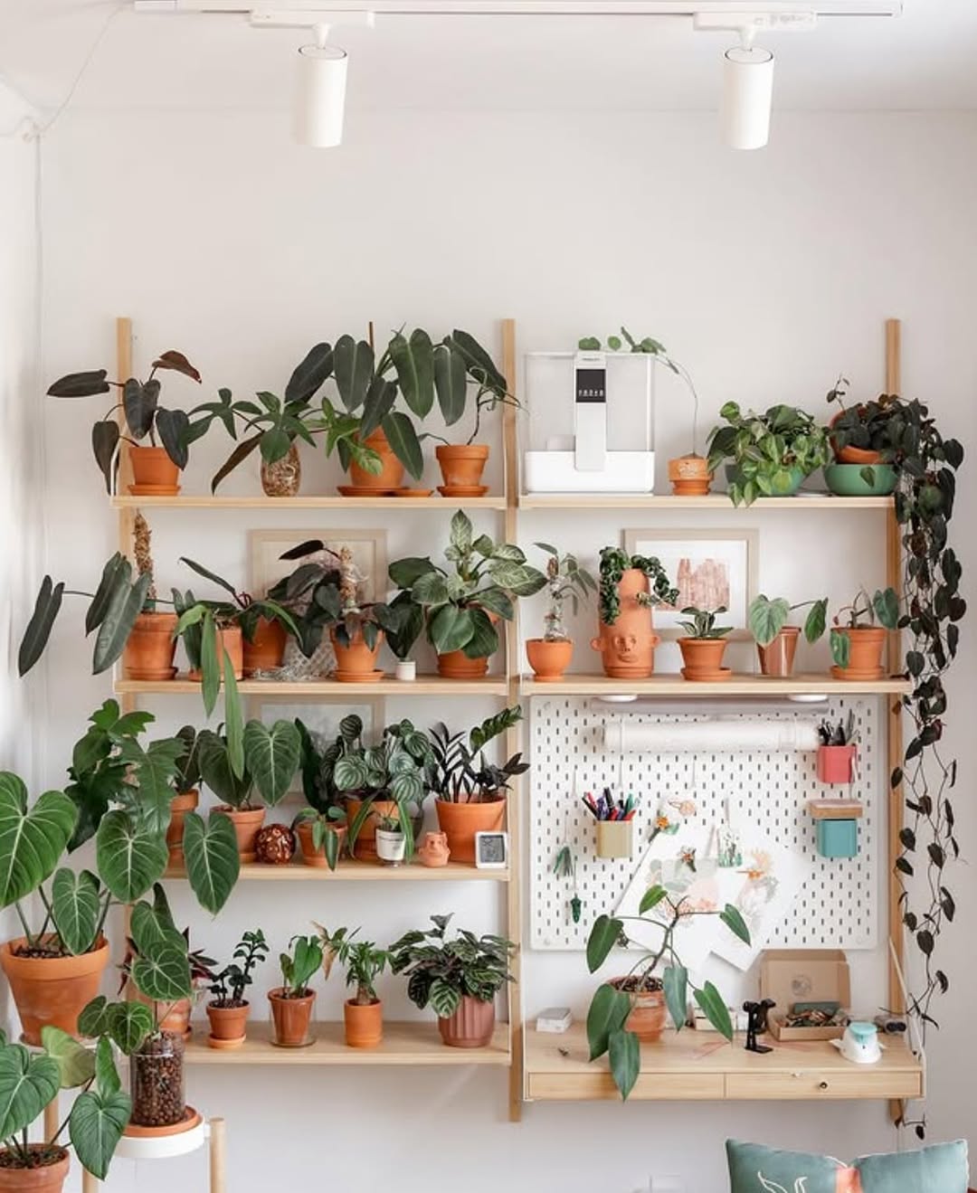 Combine Plant Displays and Workspace with a Wooden Shelving Unit and Pegboard