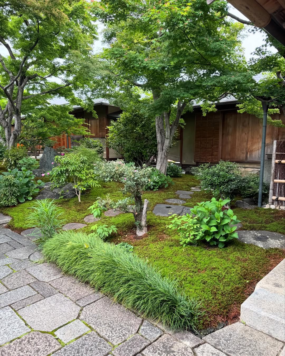 Soften Stone Paths with Plush Moss Gardens