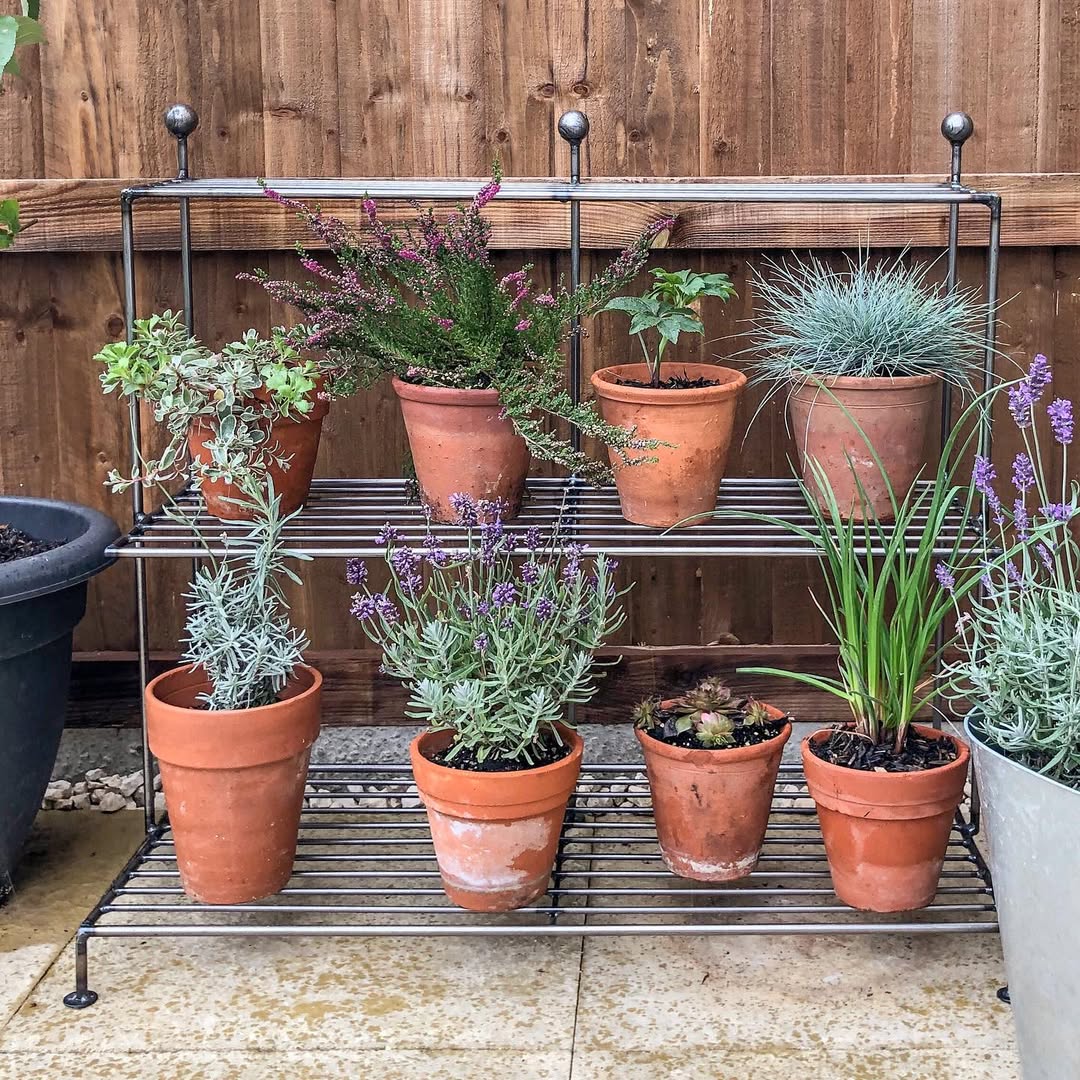 Tiered Metal Shelf for Terracotta Pot Arrangements