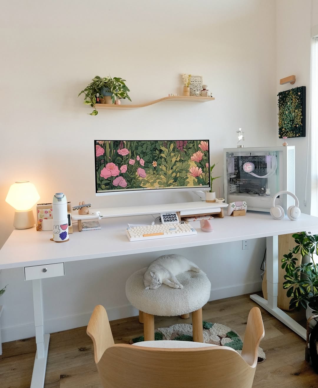 Soften Your Wall with a Curved Wooden Shelf