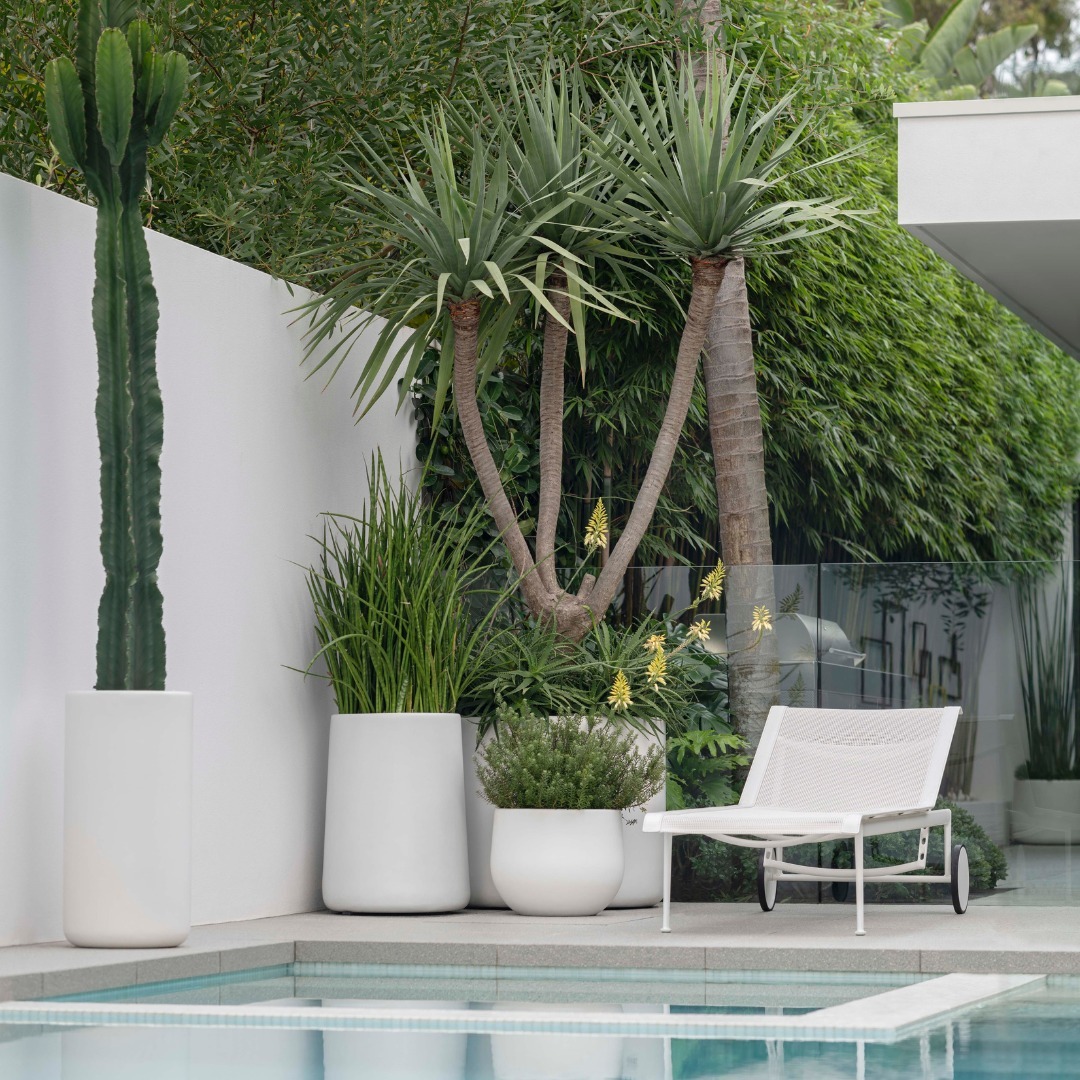 Define Your Poolside with Tall White Cylindrical Planters