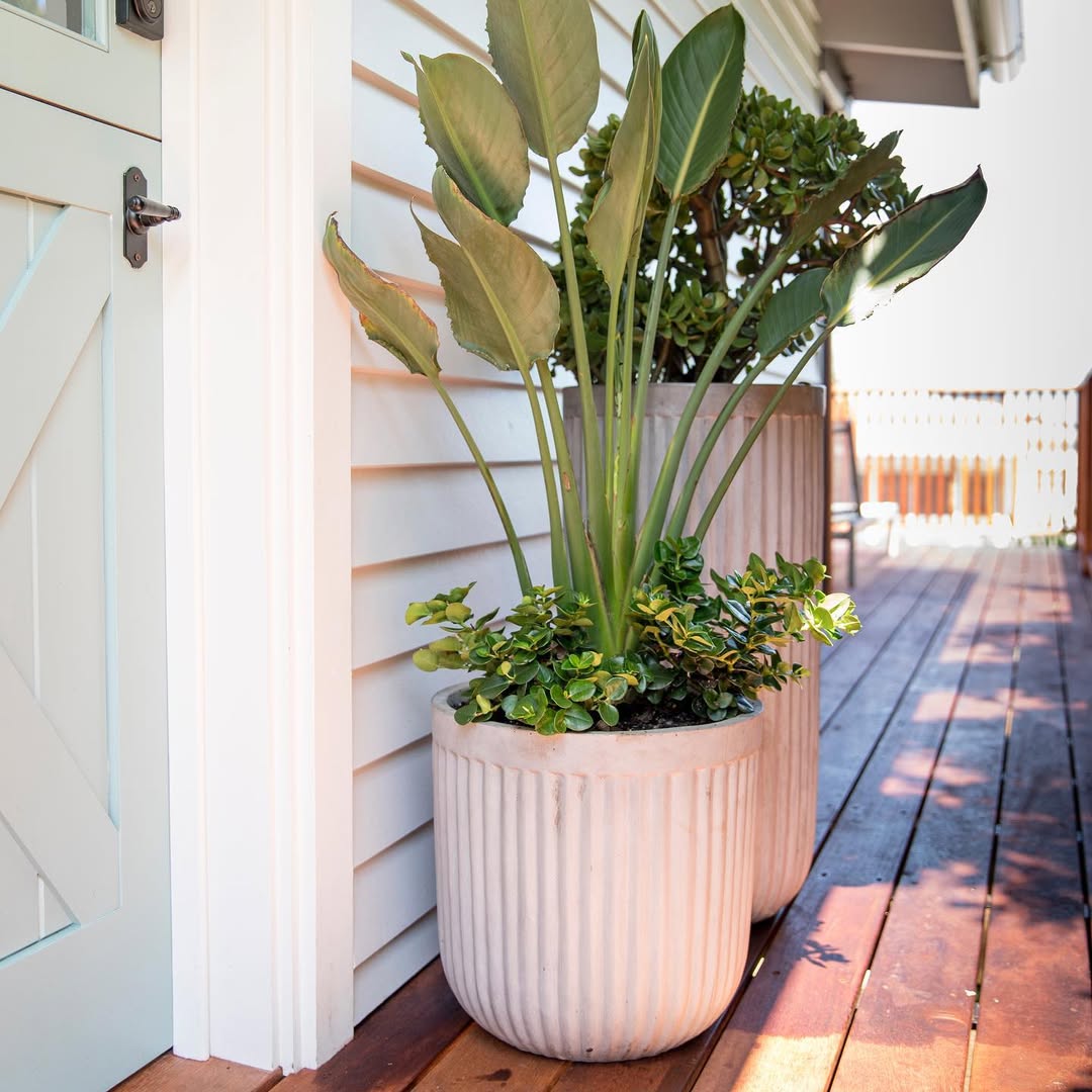 Soften Walkways with Fluted Beige Planters