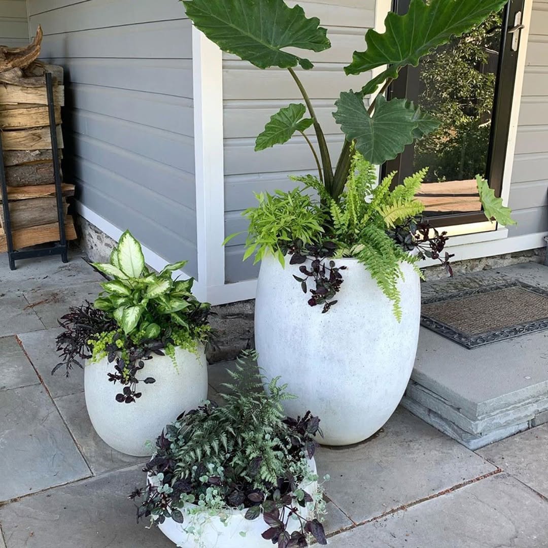 Welcome Guests with an Egg-Shaped White Planter Trio