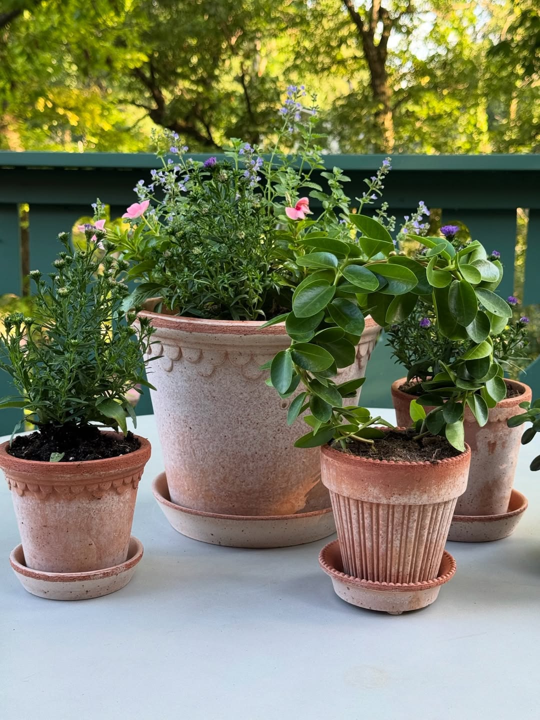 Bring Garden Charm with Terracotta Pots Featuring Textured Details