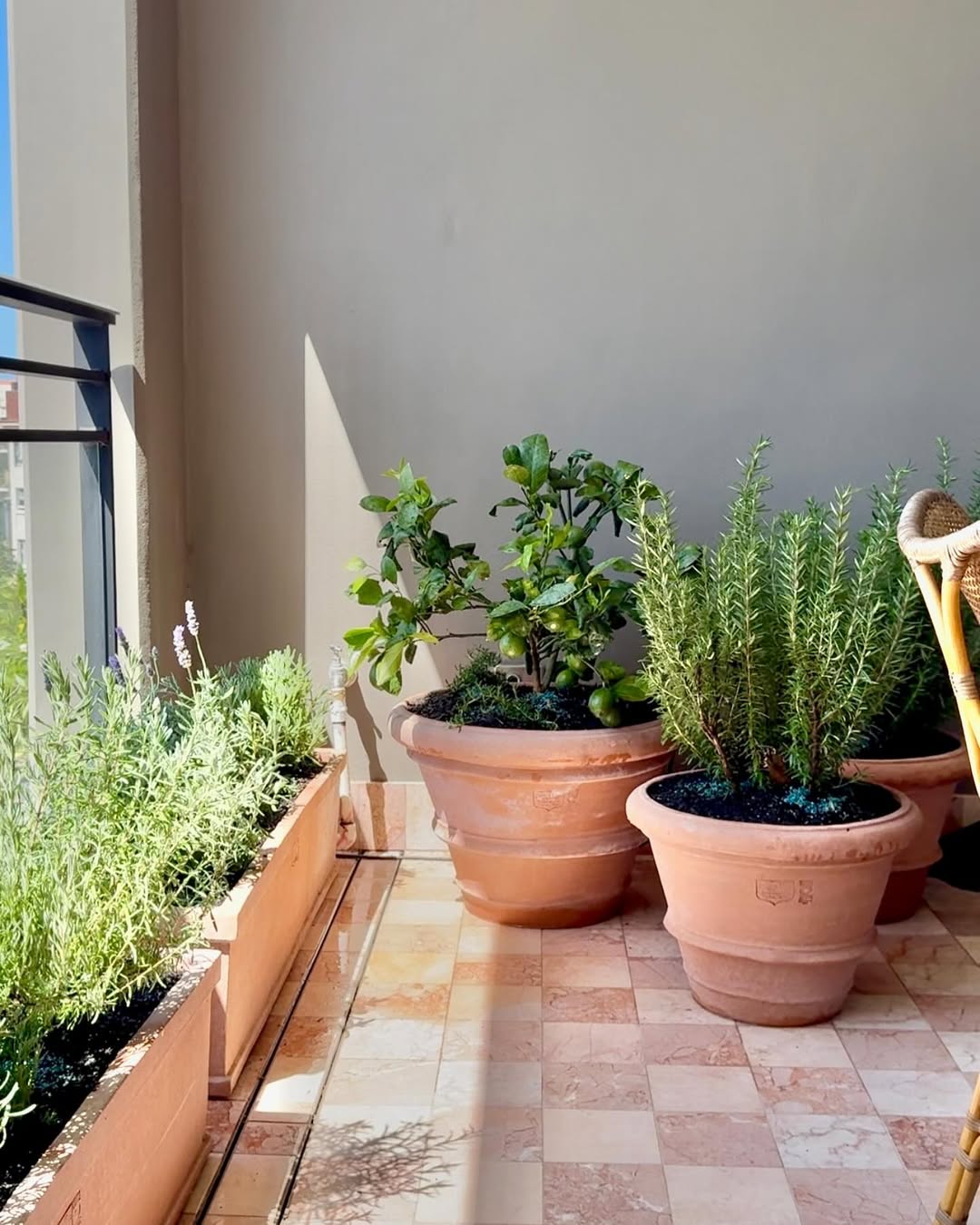 Terracotta Trough Planters for a Linear Herb Garden