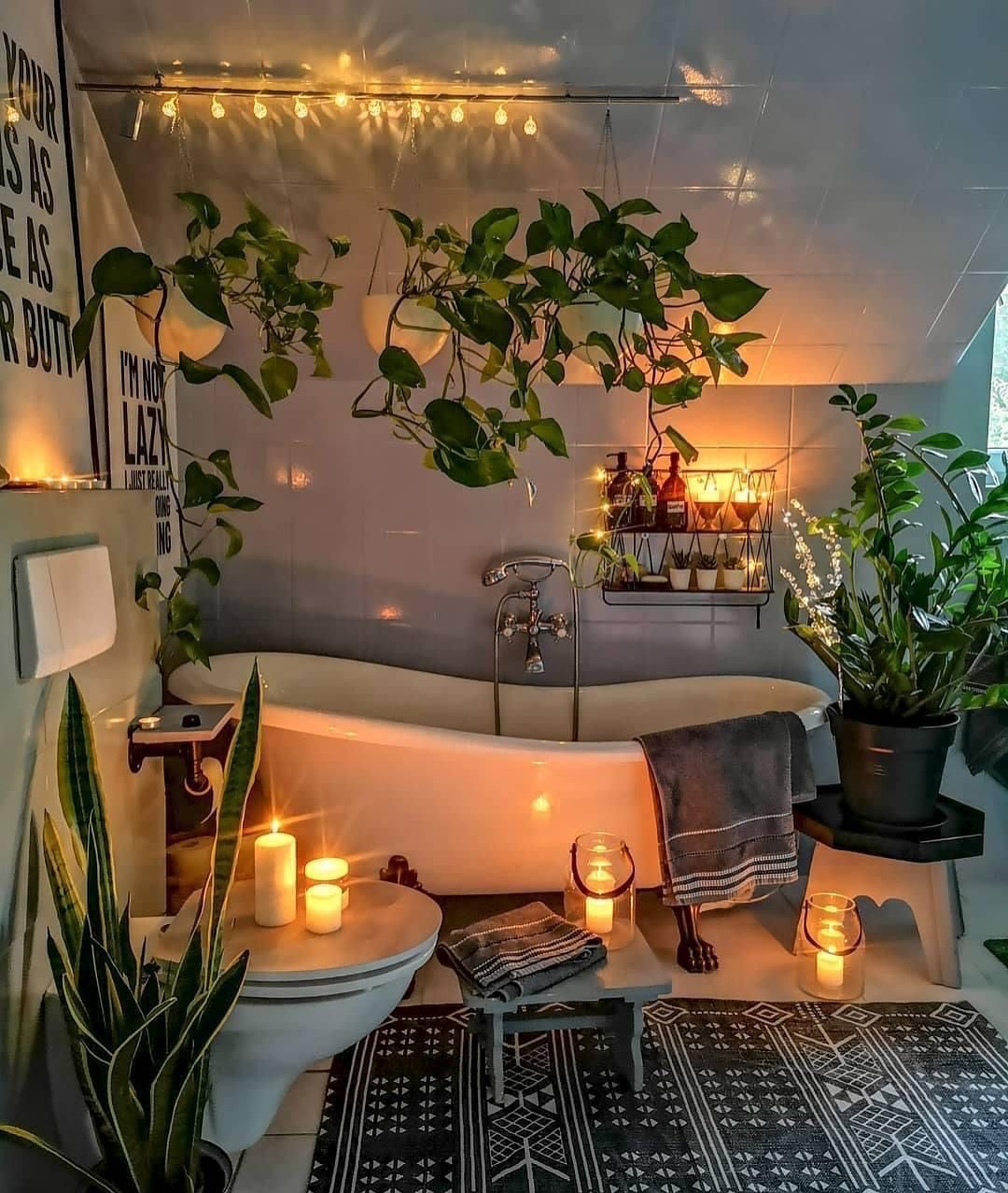 Soften a Bathtub Area with Hanging Plants