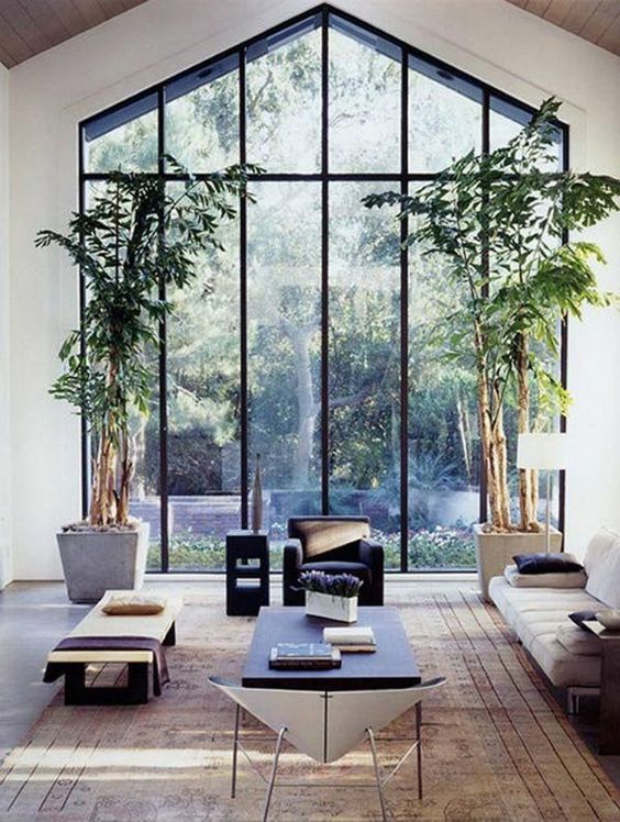 Define Spaces with Tall Floor Plants