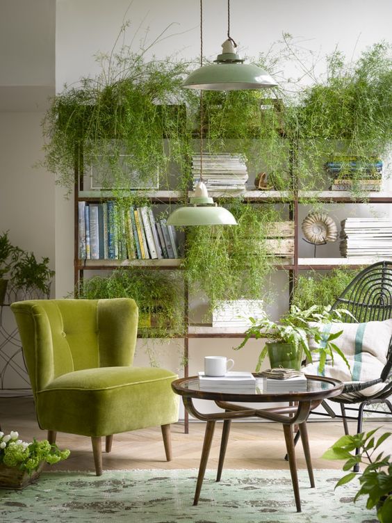 Soften Industrial Shelving with Trailing Asparagus Ferns
