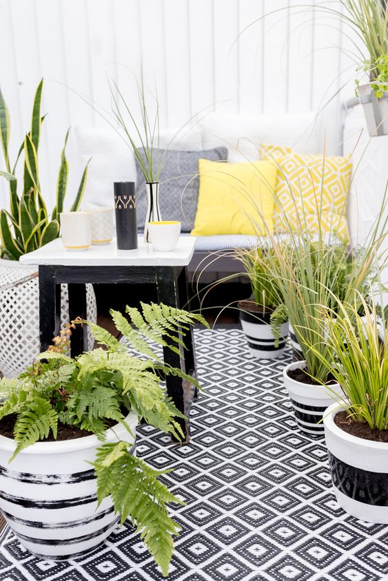 Black and White Striped Planters Add Graphic Contrast