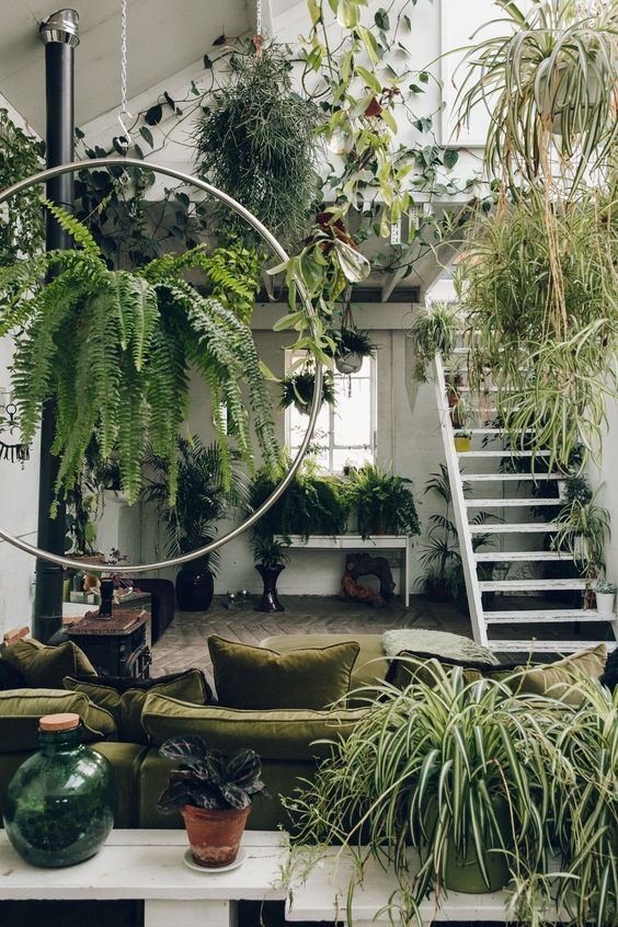 Hanging Planters Create a Lush Canopy Around a Staircase