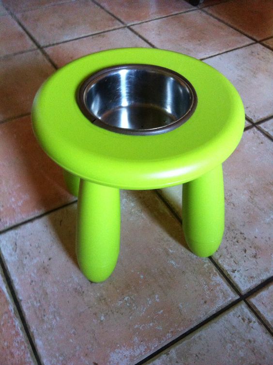 Repurpose a Stool as a Pet Feeding Station