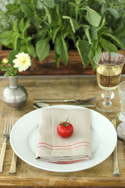 Top Folded Napkins with a Single Tomato
