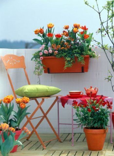 Orange Window Box Adds Color To Vertical Space