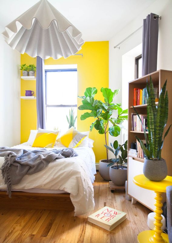 Soften a Bookshelf with a Tall Snake Plant
