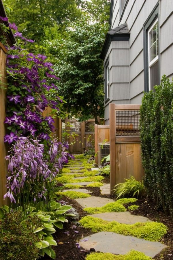 Stone Pavers Softened by Groundcover Between Steps