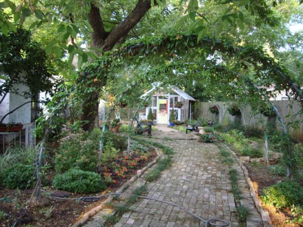 Arched Tree Branches Create a Natural Garden Tunnel