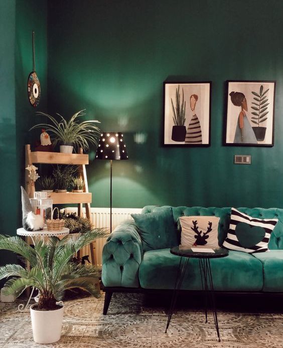 Tiered Wooden Shelf Displays Plants and Decor