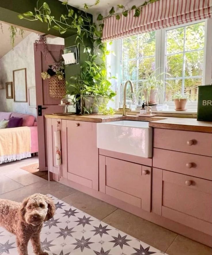 Trailing Greenery Cascades From Kitchen Ceiling and Shelves