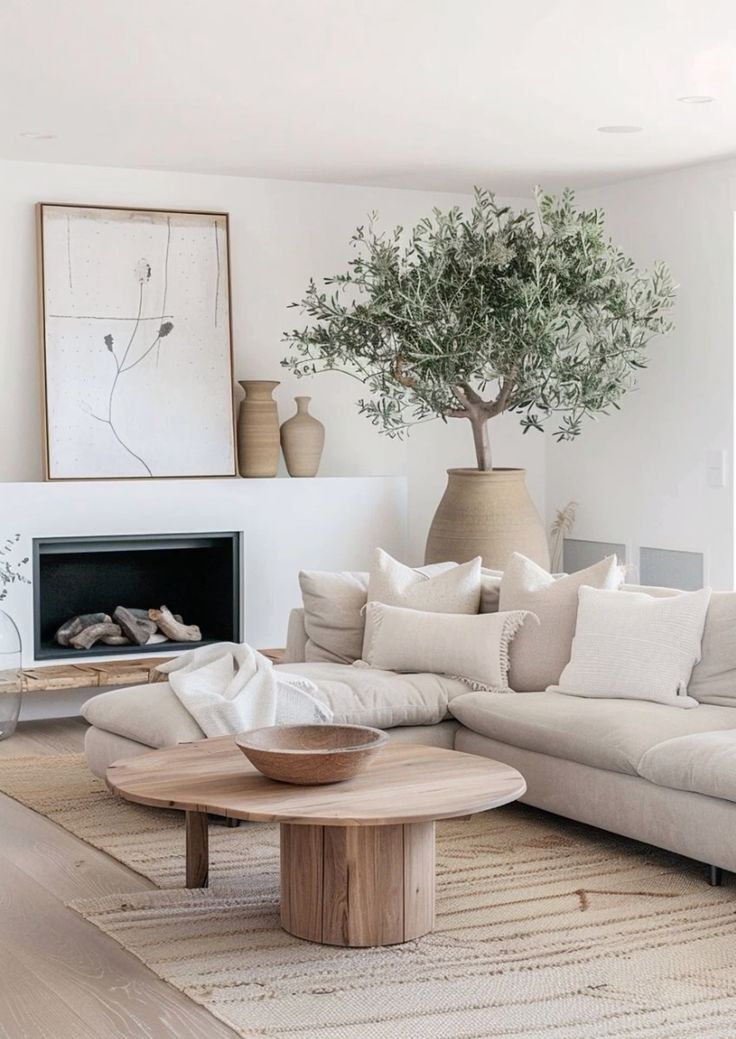 Ground an Olive Tree with a Large Terracotta Pot